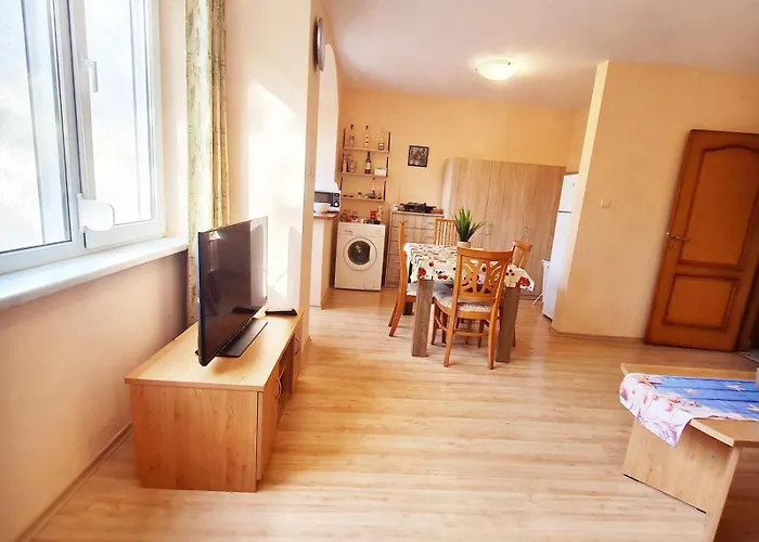 Sunny * 阳光海滩